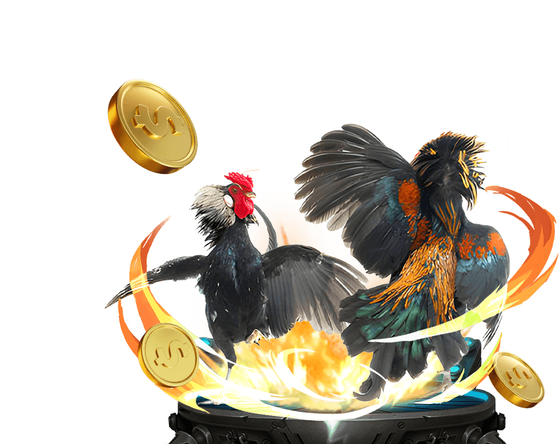 Đá Gà Trực Tiếp